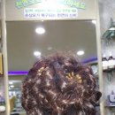 머리향기 이미지