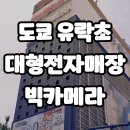 일본 도쿄 유락초역 빅카메라(Bic Camera)