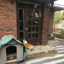 동이네집 이미지