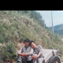 중화실업 이미지