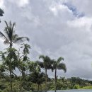 5386 | 발리 신혼여행 후기(2) 파드마 호텔 그랩 배달(와룽카야나), 우붓 시내 구경