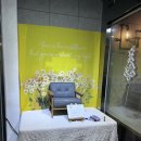 놀이터식당 | 인천 애견동반식당 추천 개떼놀이터 인천점 후기