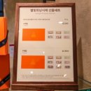 샌드베어 이미지