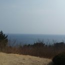 장날짬뽕 이미지
