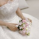 신민헤어 - 남동구 | SS신상 드레스 - 김연아 본식 드레스 정보 및 부산 드레스 비슷한 스타일 찾기