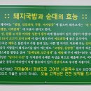 럭키아파트_상 이미지