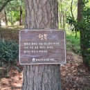 한국 절투어 1편 - 어디까지 가볼래? 창원 봉림사