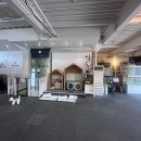 (주)젠틀펫 이미지