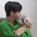 학자님들 피치색 T 성급하게 생각하지 마시고~~ 이미지