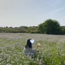 성읍리-24 이미지