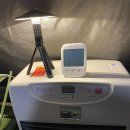 백옥관 | 고산 무궁화 오토캠핑장 17번 후기