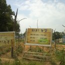 김성섭 농장 Daum카페