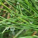 하늘내린공인중개사사무소 이미지