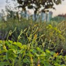 유연농장 이미지