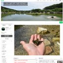 도장골낚시터 | 가평 민물 낚시터 폭포낚시터 가평낚시터 도장골낚시터 청평낚시랜드가든 상천낚시터