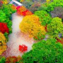 등산 없이 이런 절경을… 내장산 부럽지 않은 5km 평지 가을 단풍 명소 이미지
