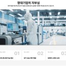 창대기업 투자후기