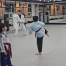 삼성태권도 중앙도장 이미지