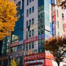 서현역 놀거리 추천 : 로웰블로썸에서 하바리움 만들기