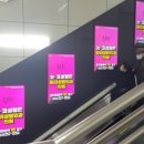 릴리성형외과의원 이미지