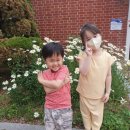 소화데레사유치원 이미지