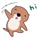 애마다방 이미지