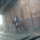 서문육거리 이미지