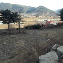 동강공인중개사사무소 이미지