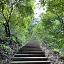 배내무등골길 이미지