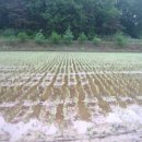 광일농장 이미지