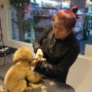 마스터그루밍클럽 이미지