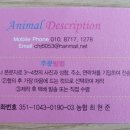 나래디자인 네이버블로그
