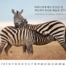 아담스커뮤니케이션즈