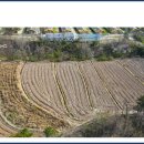 신흥리태양광발전소 이미지