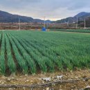 지주 이미지
