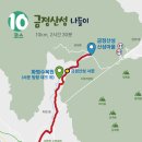 YOLO갈맷길 8코스 이미지