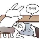 주노모바일 이미지