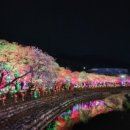 수안보족욕체험장 네이버블로그