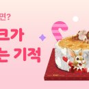 카카페 케익 이미지