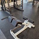 골드짐 휘트니스 이미지