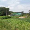 청암행정사사무소 이미지