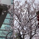 홍매원 이미지