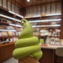 현대소프트 | 더현대 서울 오설록 후기 소프트 말차 아이스크림 솔직 리뷰 + 메뉴 가격 정리