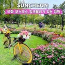 코스모스 어린이집 | 10월 순천만 국가정원 핑크뮬리,국화,코스모스 명소&amp;명절 행사