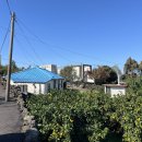 (학습다방)핸드드립 | [제주도] 애월읍 핸드드립 커피, 카이막 맛집 : 소길다방 / 또간집 / 귀여운 고양이 많음