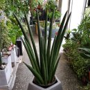 수원시 팔달구 팔달문로81번길 이미지