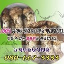 봉화명호송이