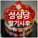 대전 성심당 본점 딸기시루 튀김소보로 후기 주차 웨이팅 팁 (투썸 스초생 비교 후기)