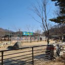 털찐친구들 이미지