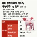신조농장 이미지